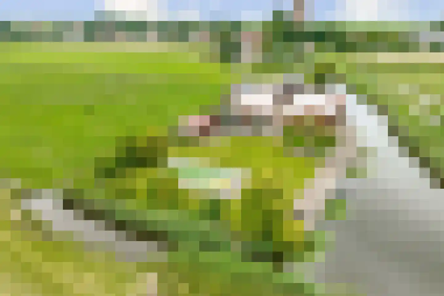 Dorpsweg Ransdorp 67 Amsterdam thumbnail 34