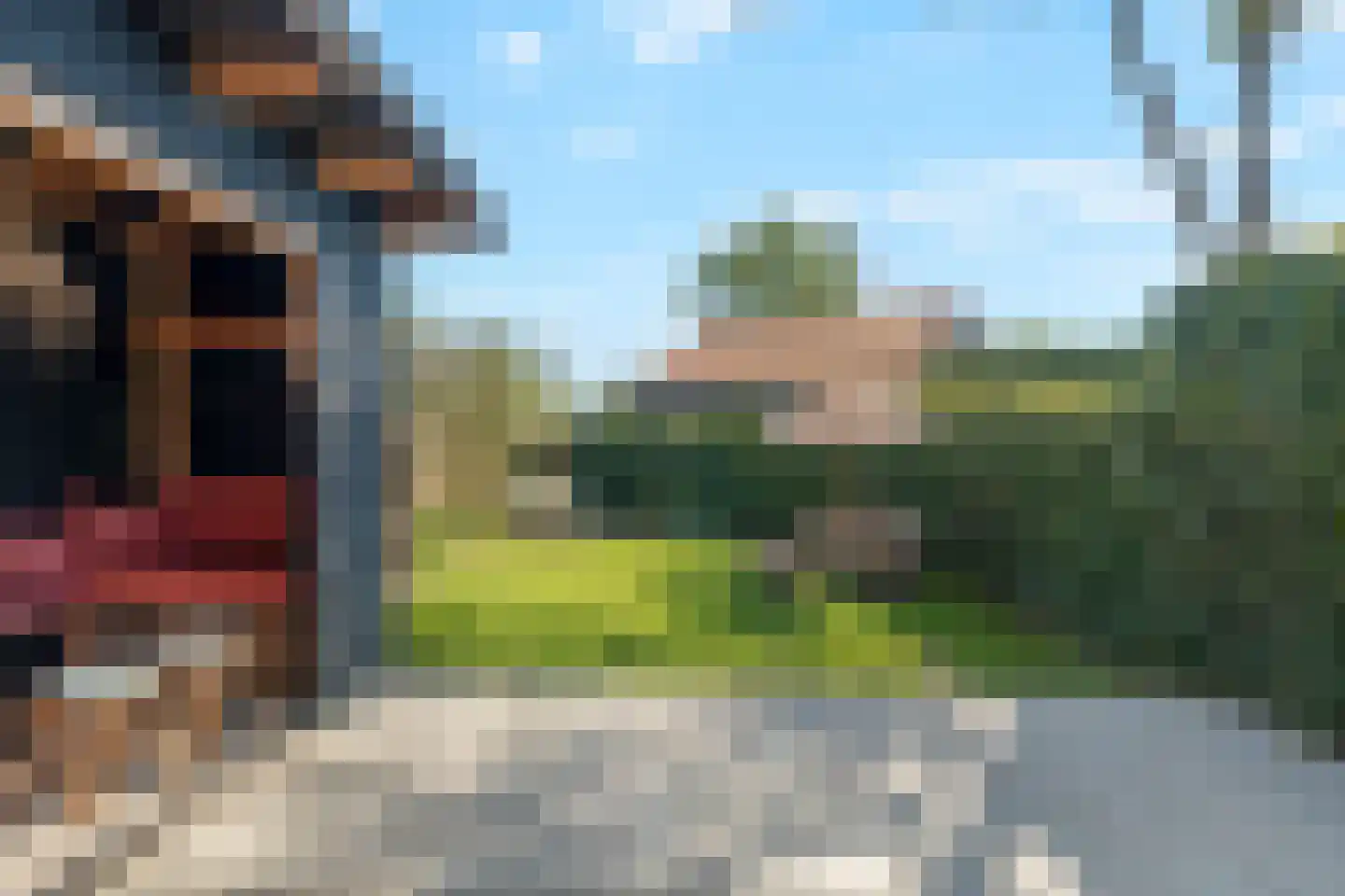 Dorpsweg Ransdorp 82 Amsterdam thumbnail 10