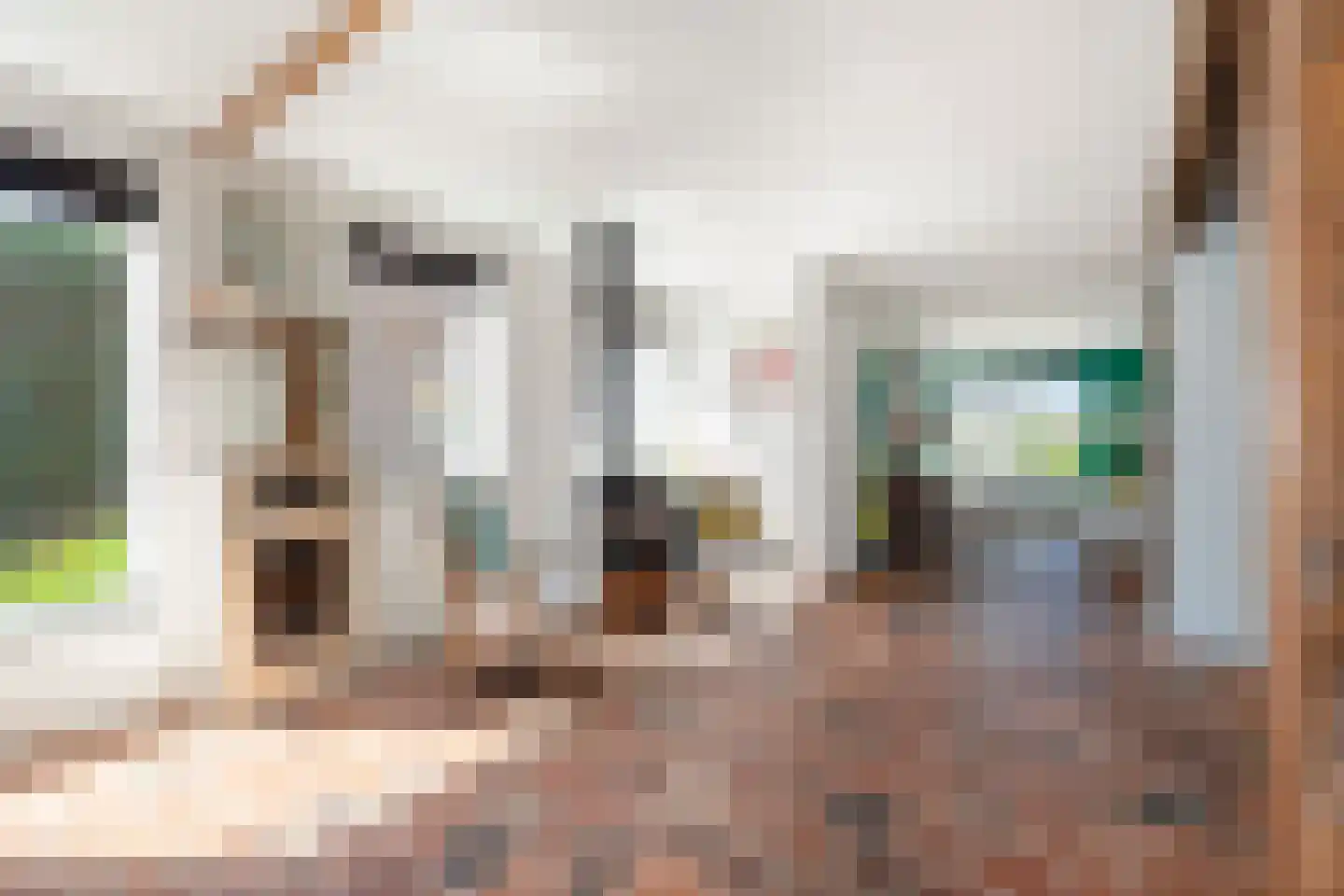 Dorpsweg Ransdorp 82 Amsterdam thumbnail 20