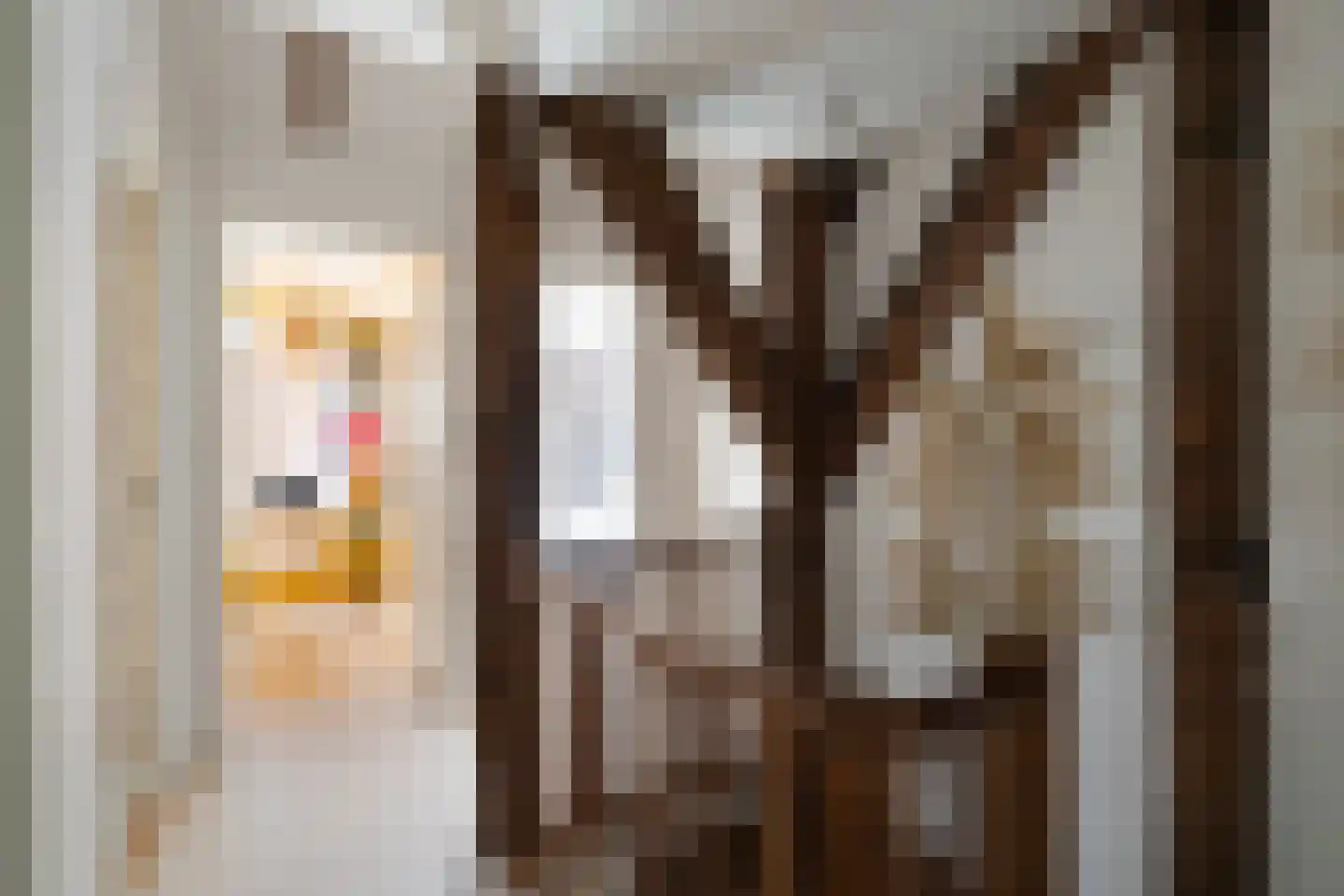 Dorpsweg Ransdorp 82 Amsterdam thumbnail 24