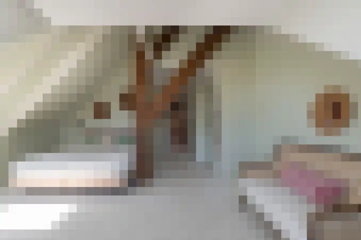 Dorpsweg Ransdorp 82 Amsterdam thumbnail 29