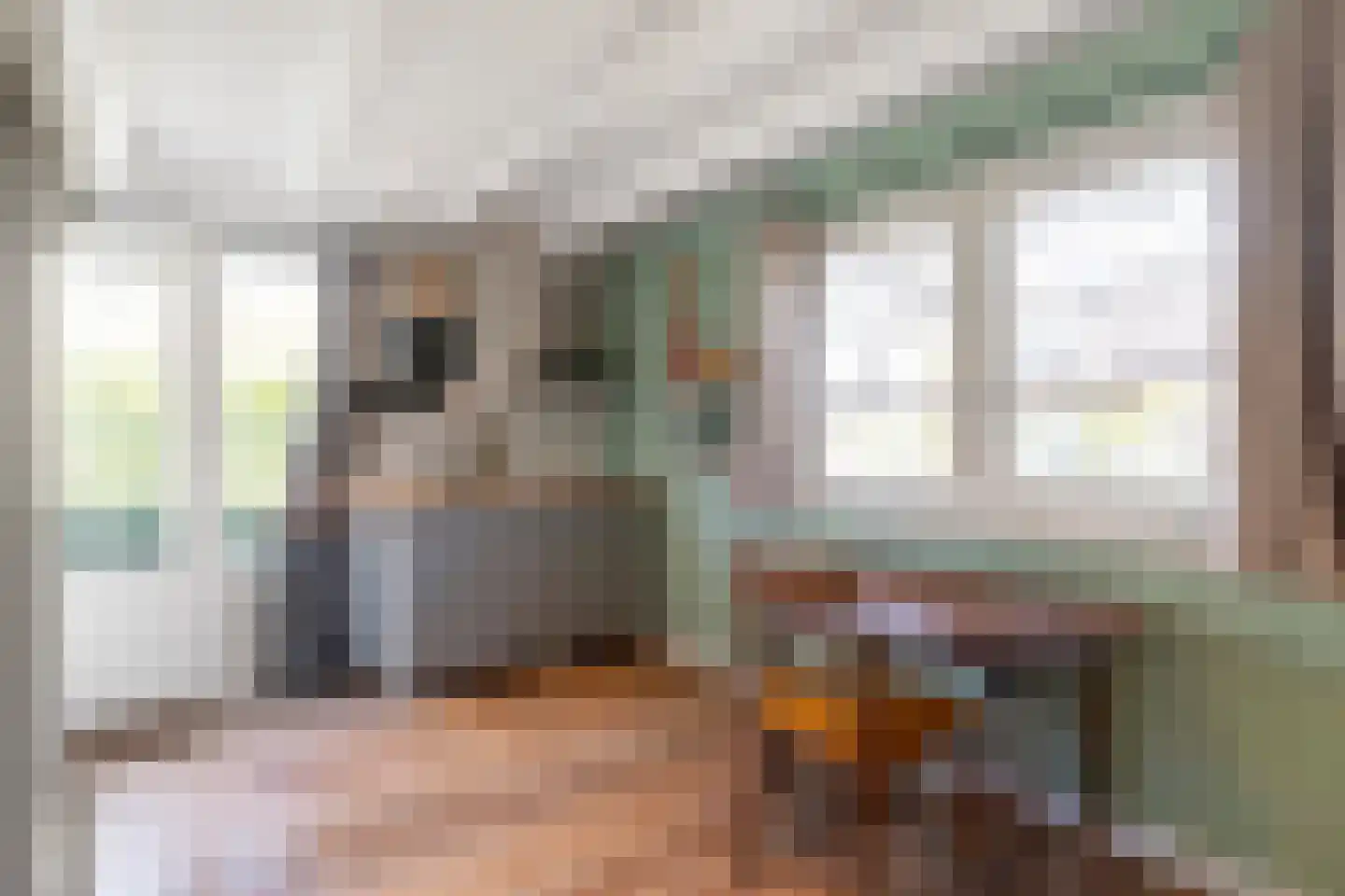 Dorpsweg Ransdorp 82 Amsterdam thumbnail 38