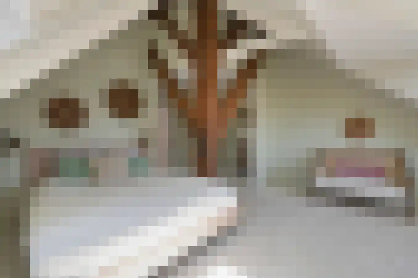 Dorpsweg Ransdorp 82 Amsterdam thumbnail 4