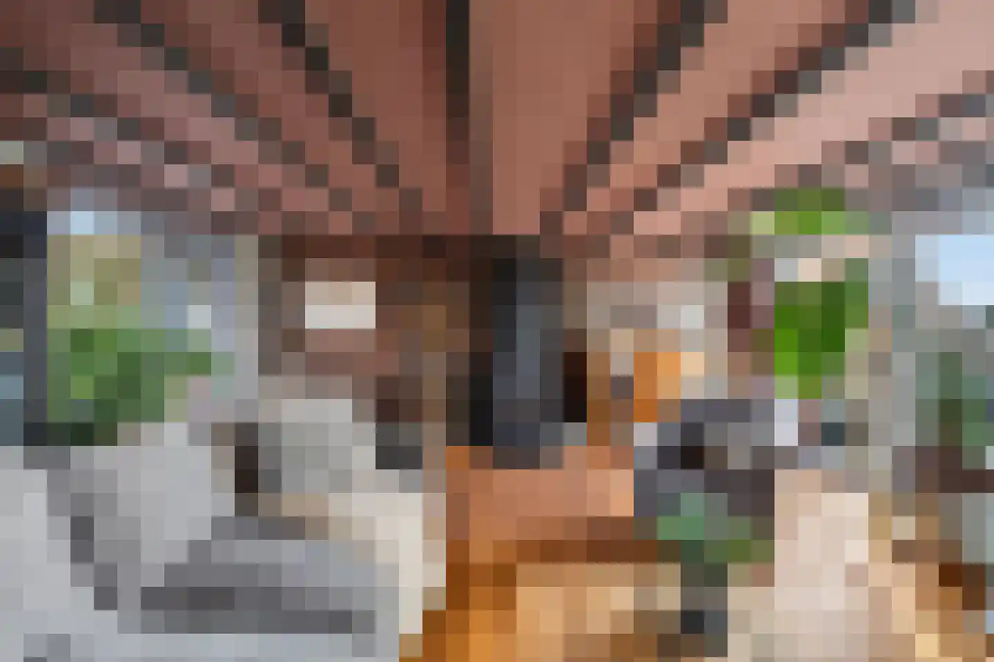 Dorpsweg Ransdorp 93 A Amsterdam thumbnail 33