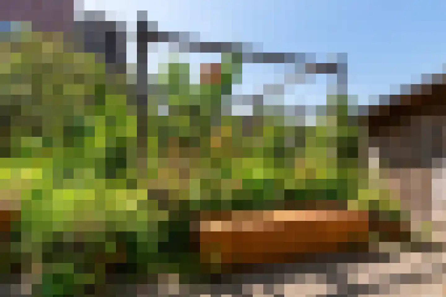 Dorpsweg Ransdorp 93 A Amsterdam thumbnail 40