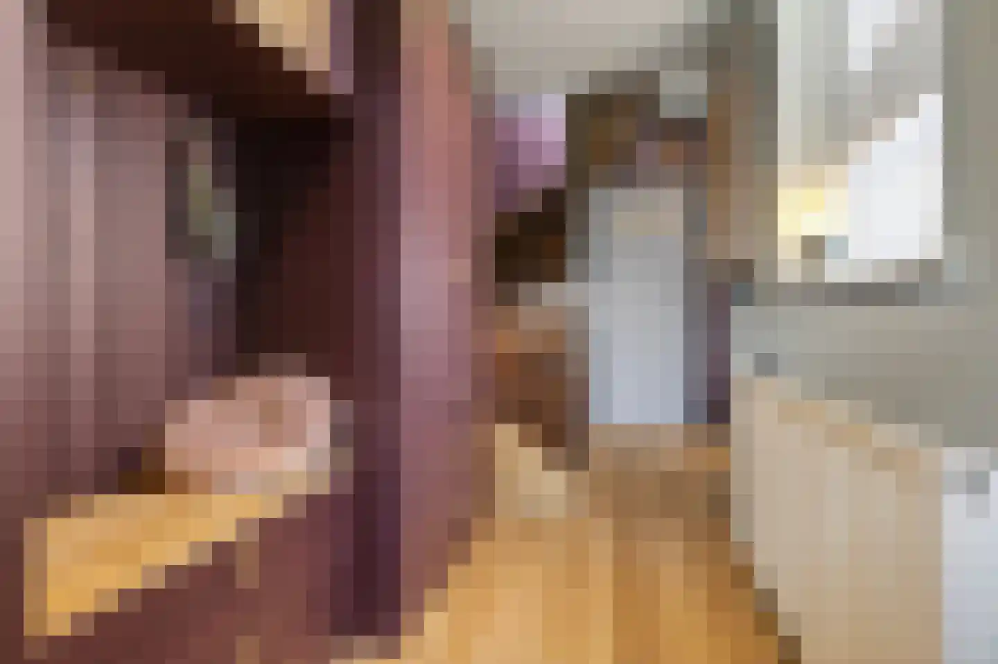 Dorpsweg Ransdorp 93 A Amsterdam thumbnail 7