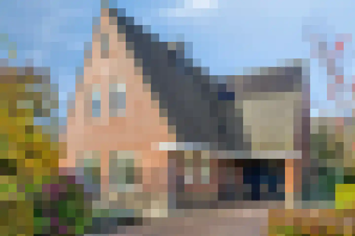 Dorpswei 18 Herveld