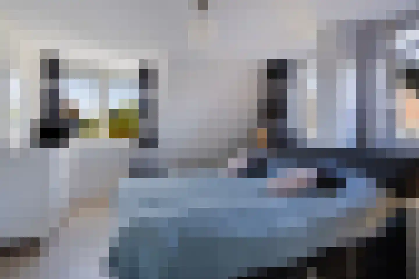 Dorpswei 18 Herveld thumbnail 28