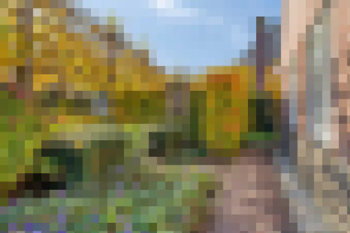 Dorpswei 18 Herveld thumbnail 44