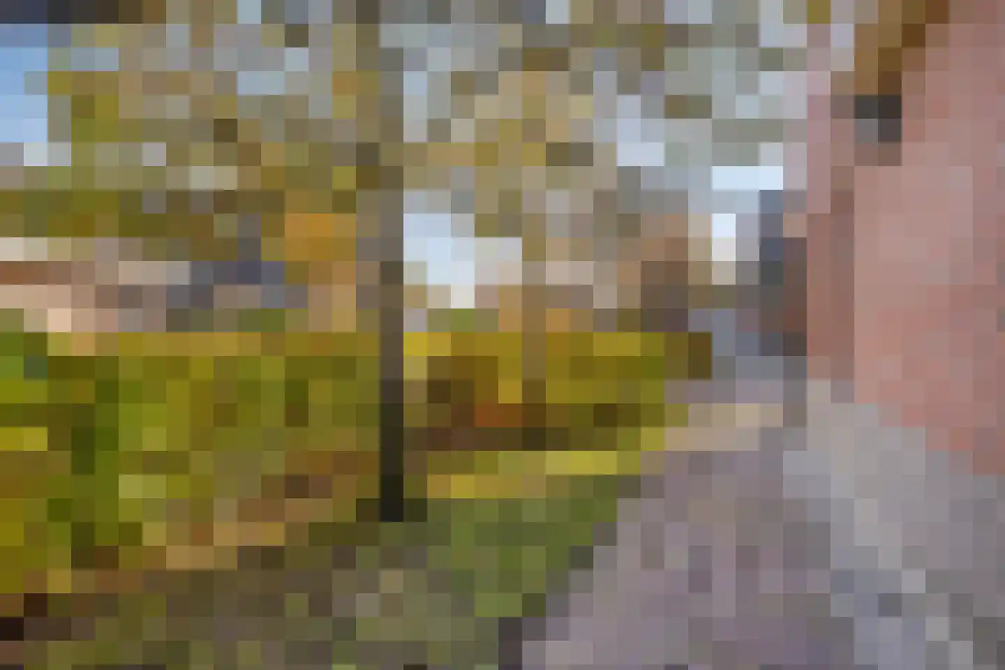 Dorpswei 18 Herveld thumbnail 45