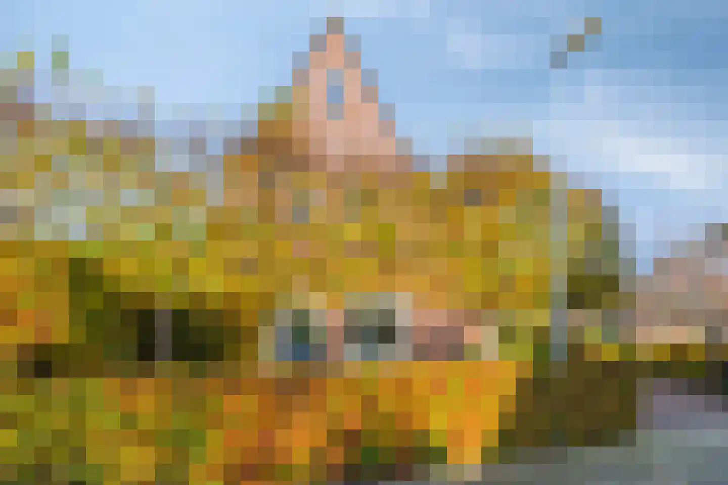 Dorpswei 18 Herveld thumbnail 6