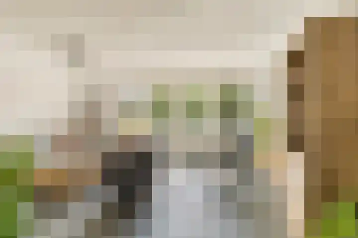 Dorpswei 30 Herveld thumbnail 10