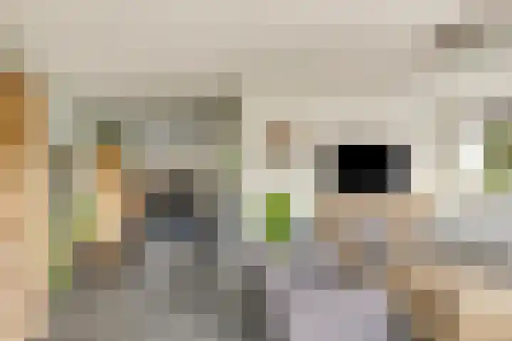 Dorpswei 30 Herveld thumbnail 12