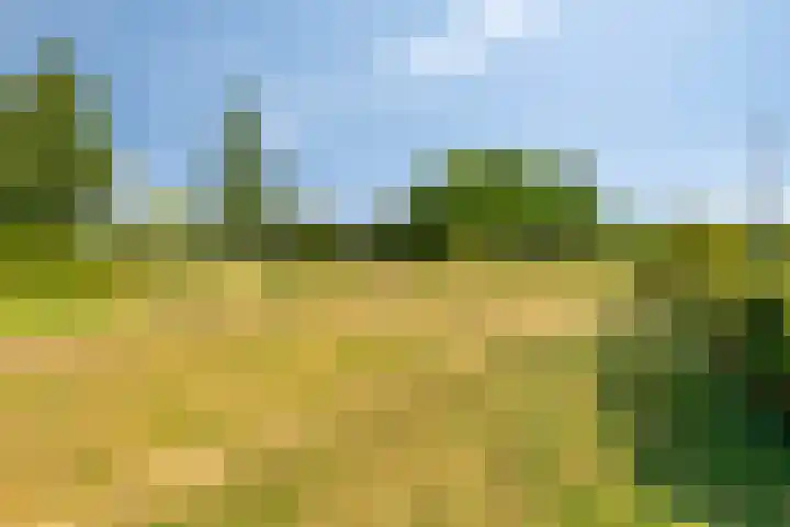 Dorpswei 30 Herveld thumbnail 40