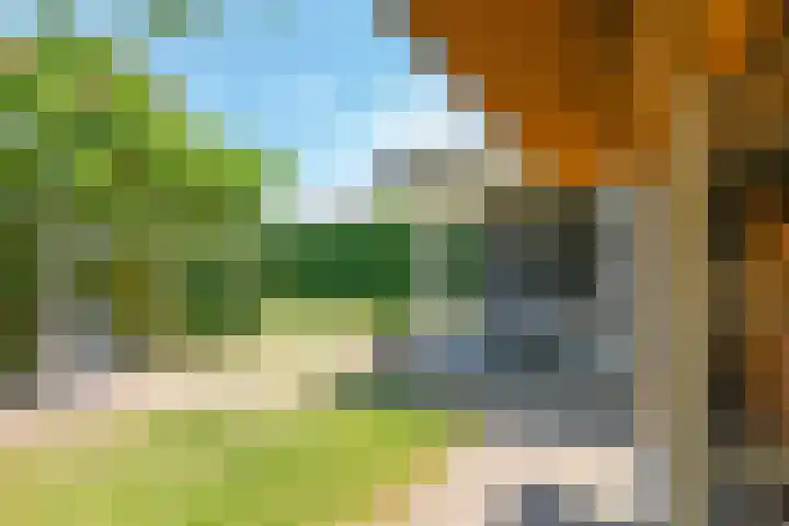 Dorpswei 32 Herveld thumbnail 5