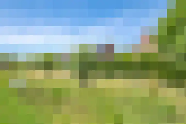 Dorpswei 32 Herveld thumbnail 83