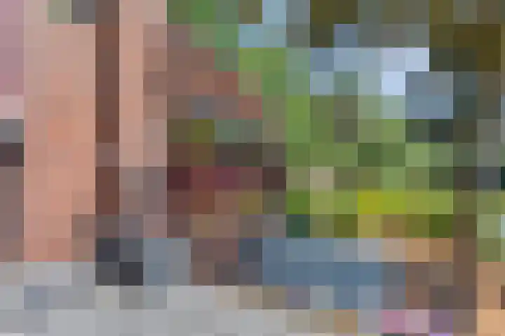 Screenshot der Website von www.dorpswonen.nl