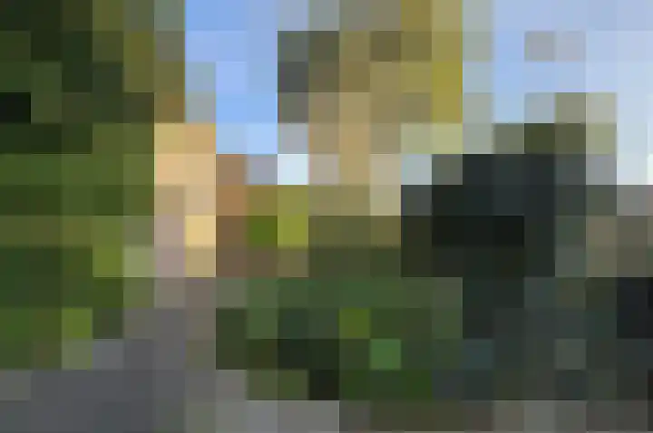 Dorpszicht 1 Abcoude thumbnail 24