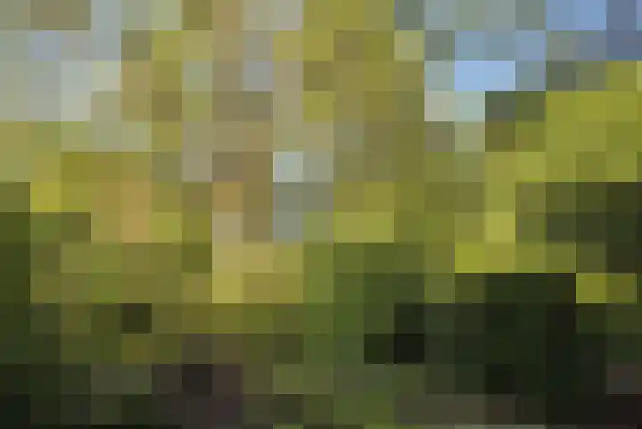 Dorpszicht 1 Abcoude thumbnail 4