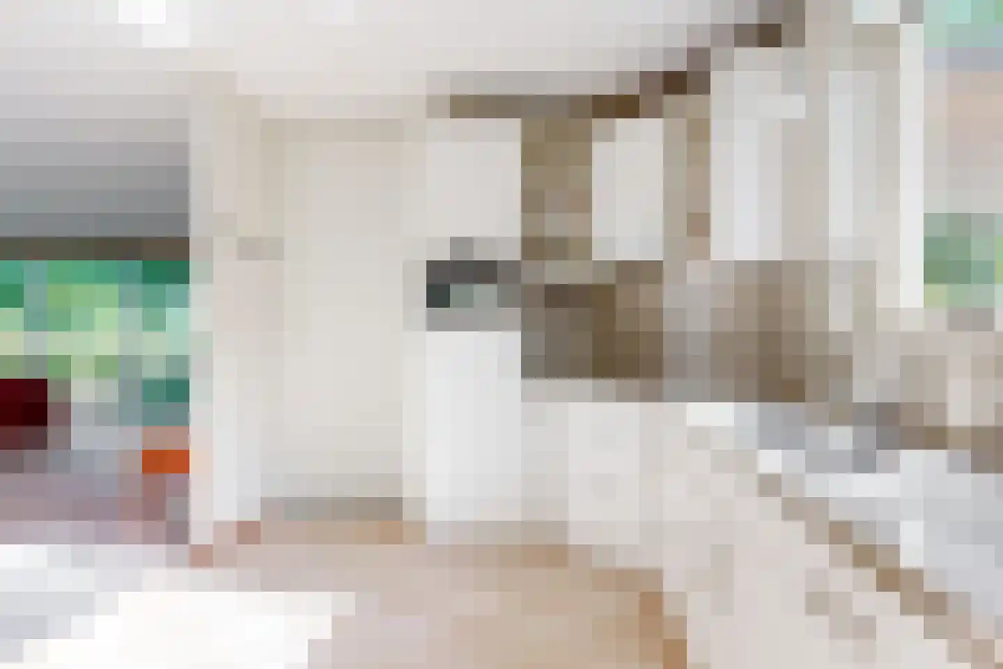 Dorpszicht 17 Abcoude thumbnail 12