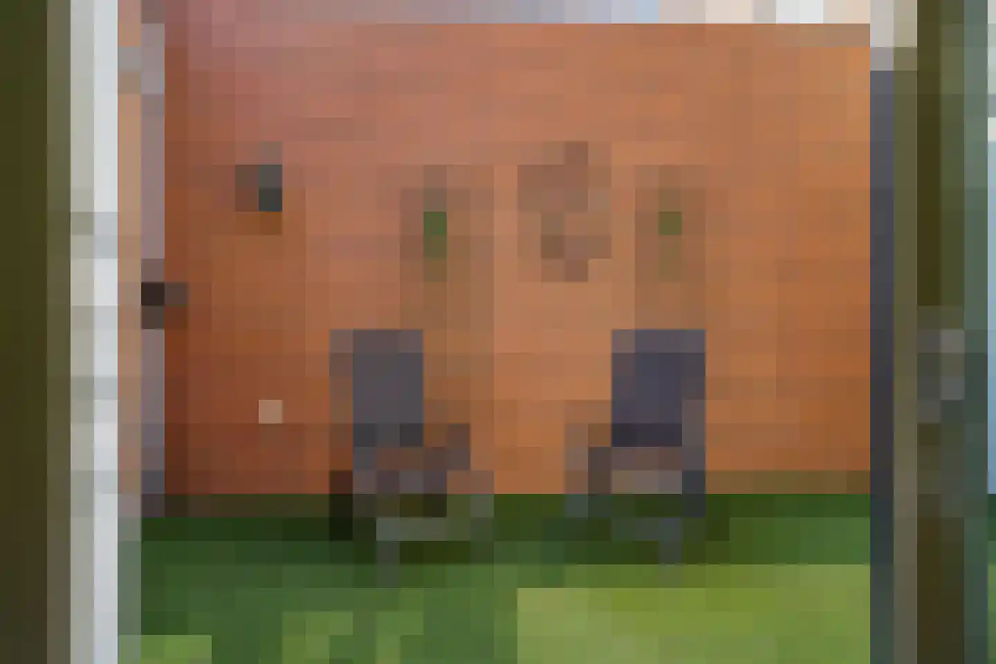 Dorpszicht 17 Abcoude thumbnail 14