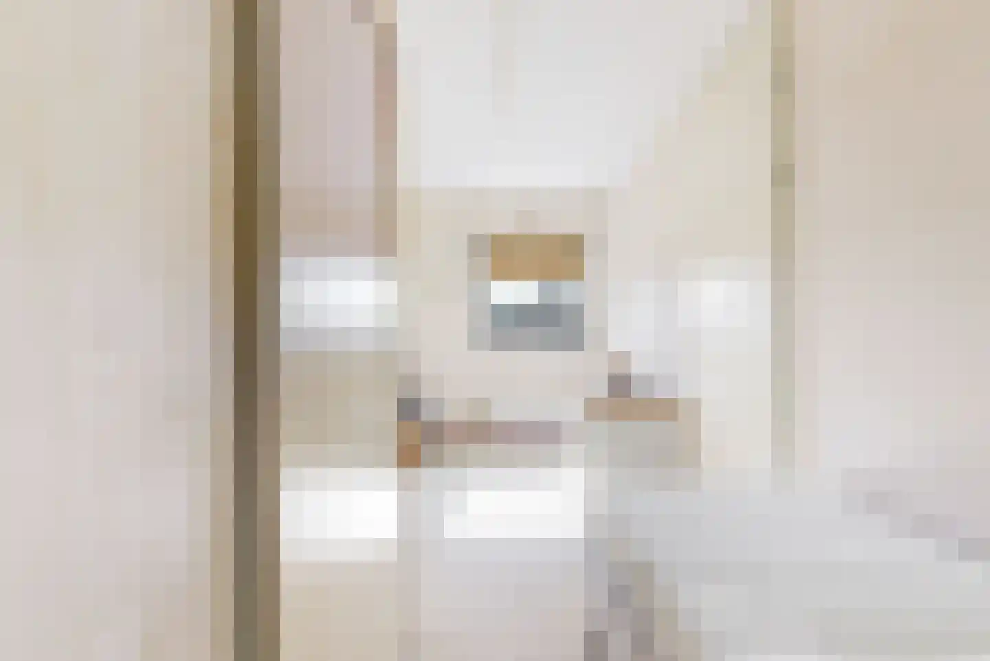 Dorpszicht 17 Abcoude thumbnail 25