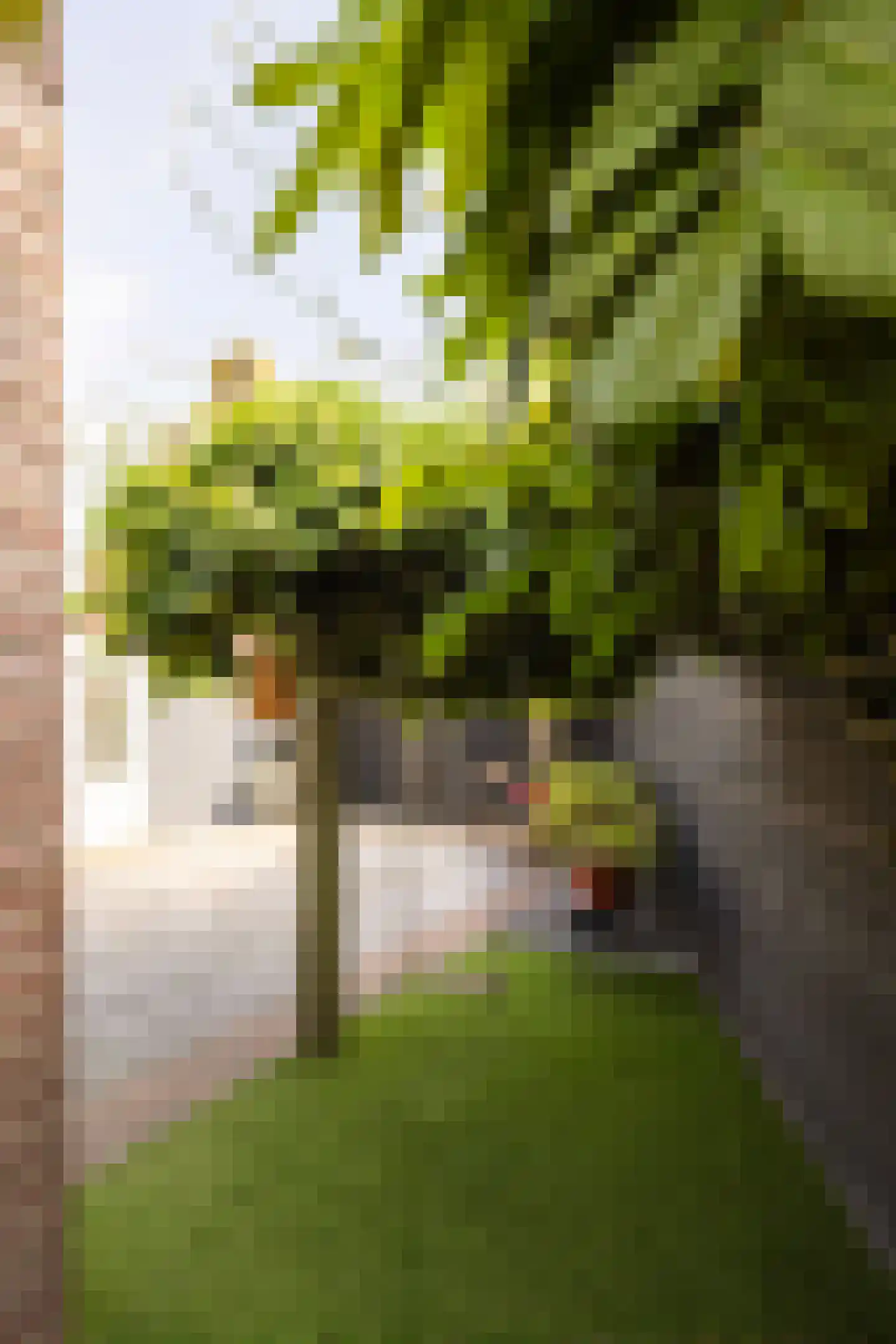 Dorpszicht 2 Abcoude thumbnail 11