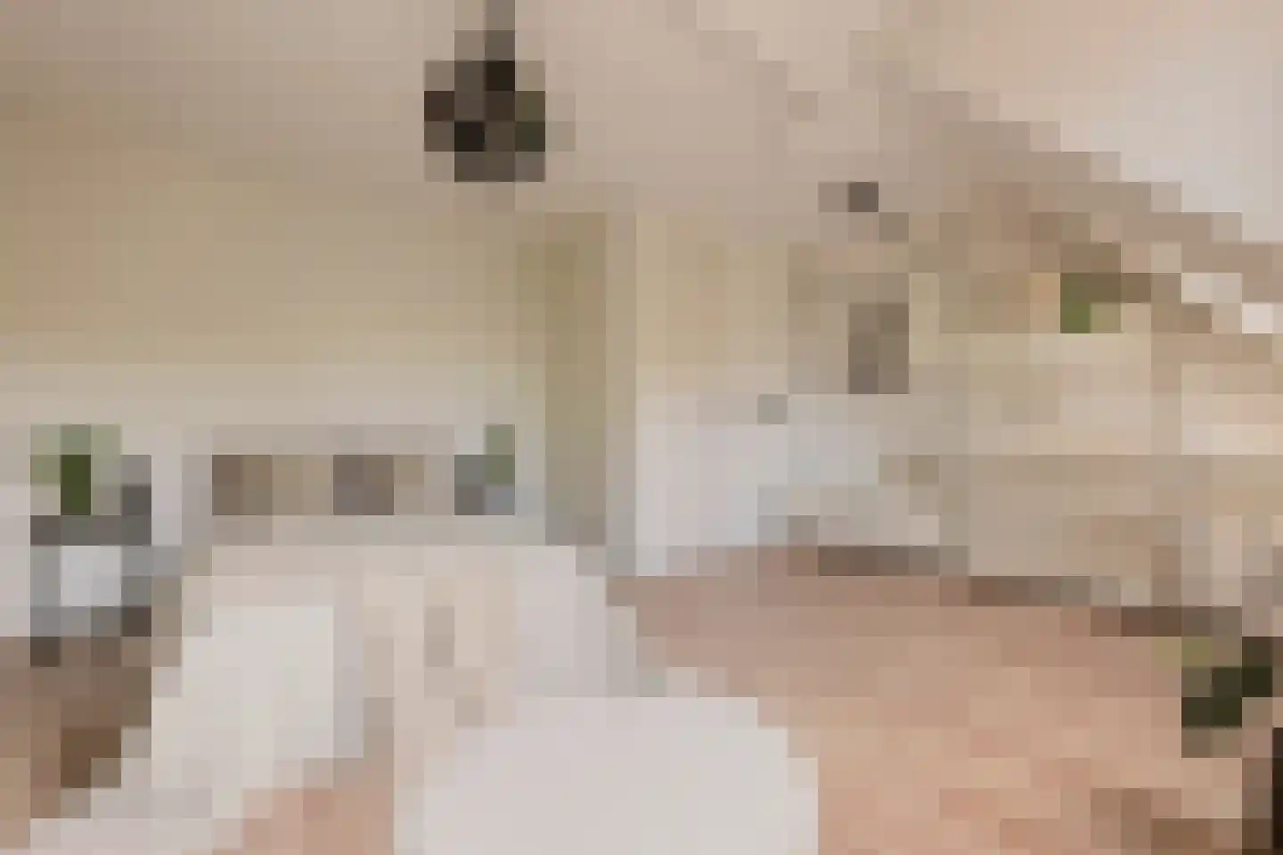 Dorpszicht 2 Abcoude thumbnail 15