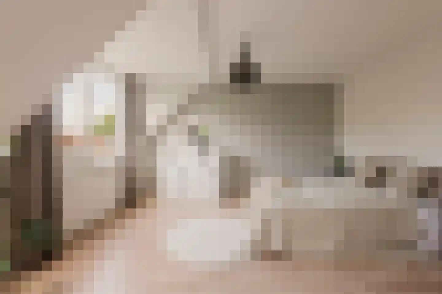 Dorpszicht 2 Abcoude thumbnail 17