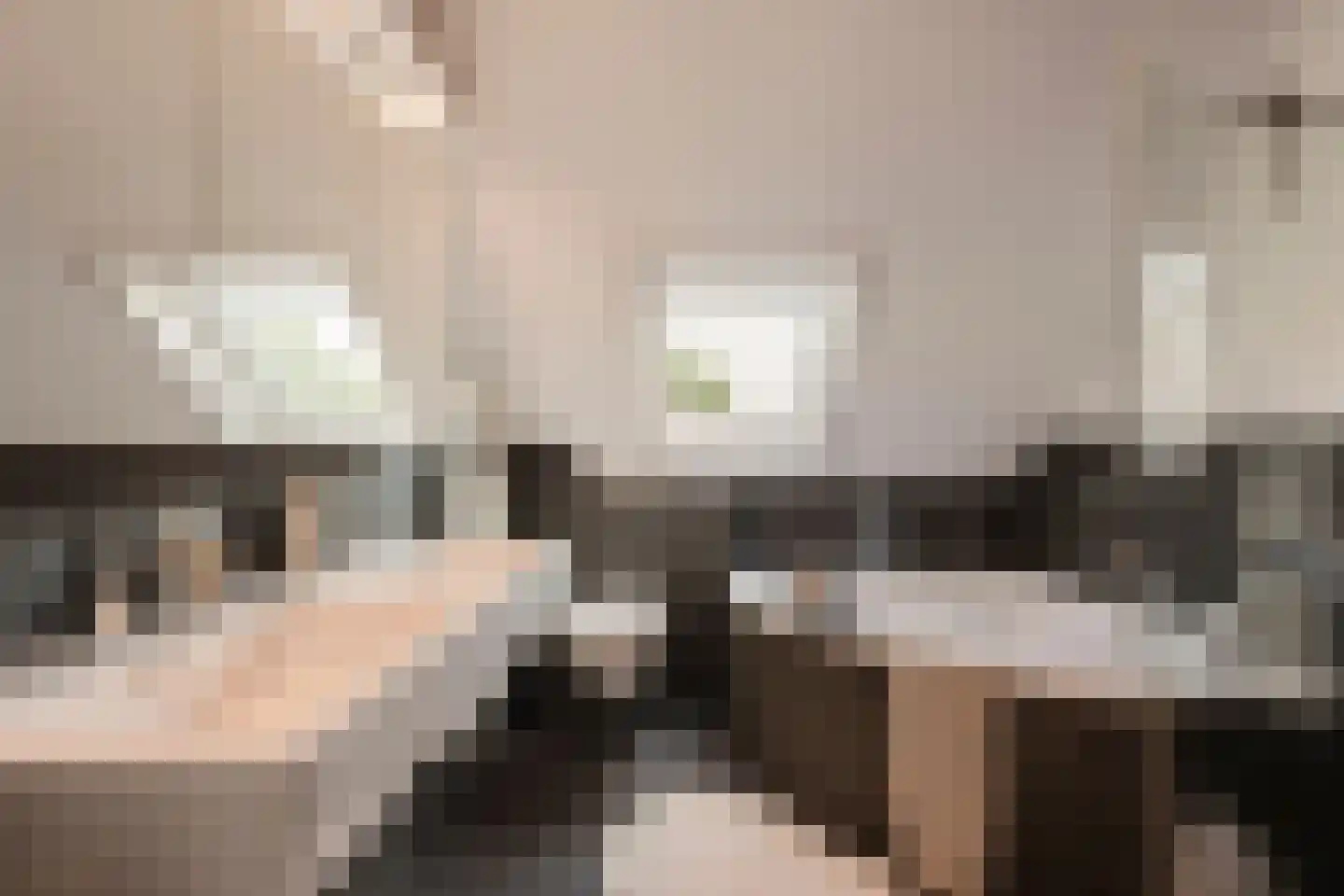 Dorpszicht 2 Abcoude thumbnail 20