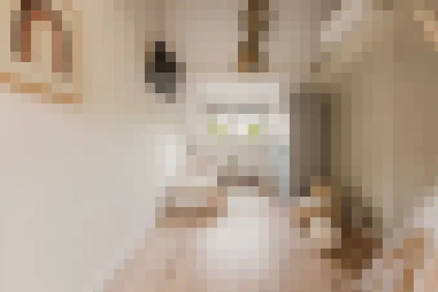 Dorpszicht 2 Abcoude thumbnail 24