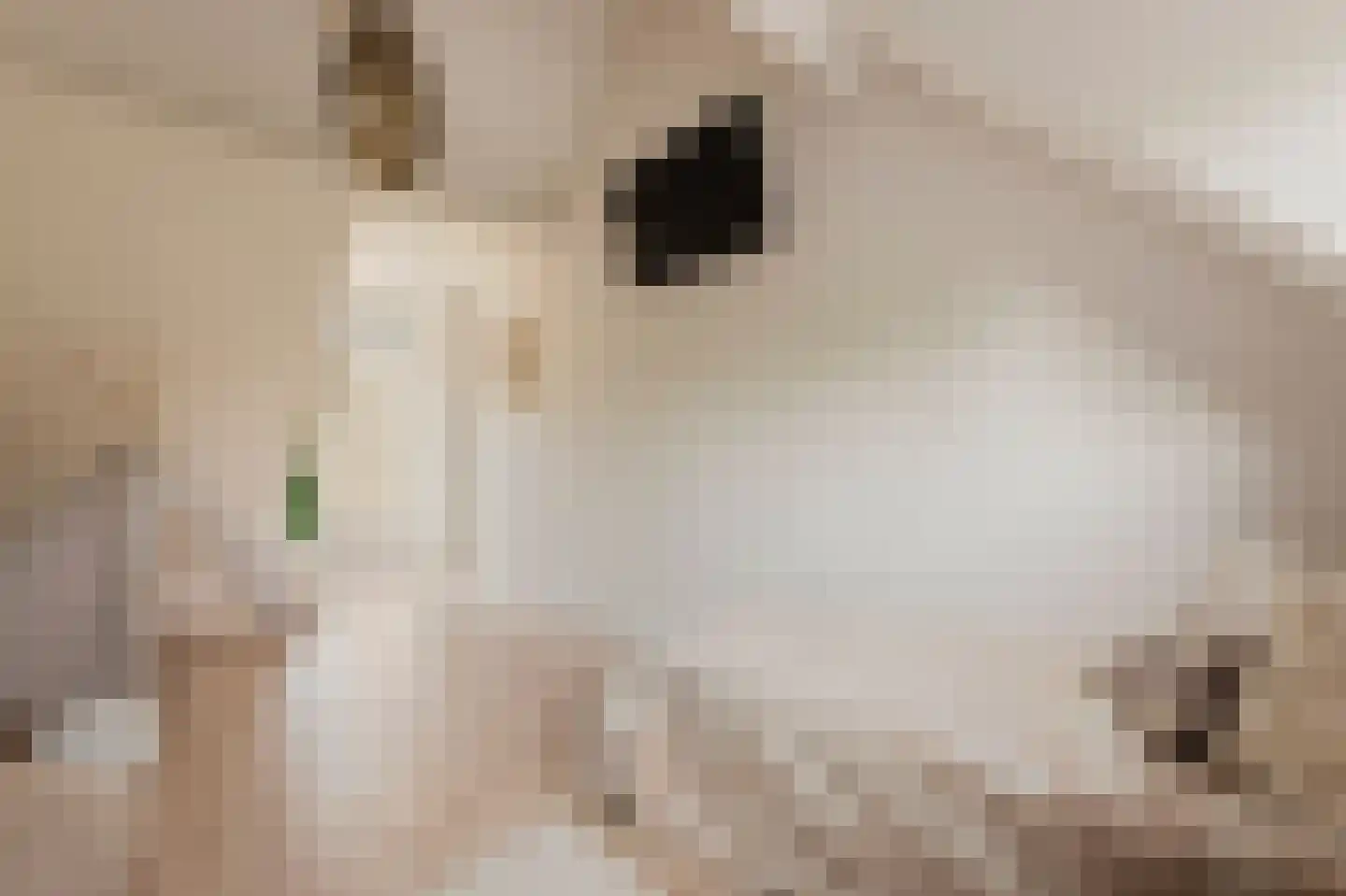Dorpszicht 2 Abcoude thumbnail 25