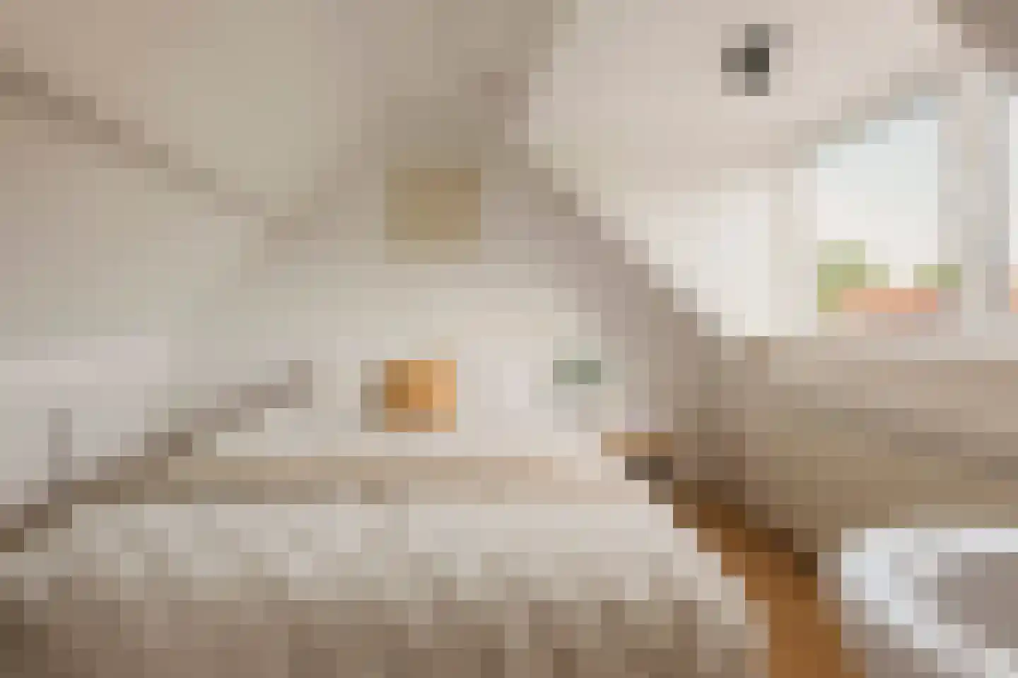 Dorpszicht 2 Abcoude thumbnail 27