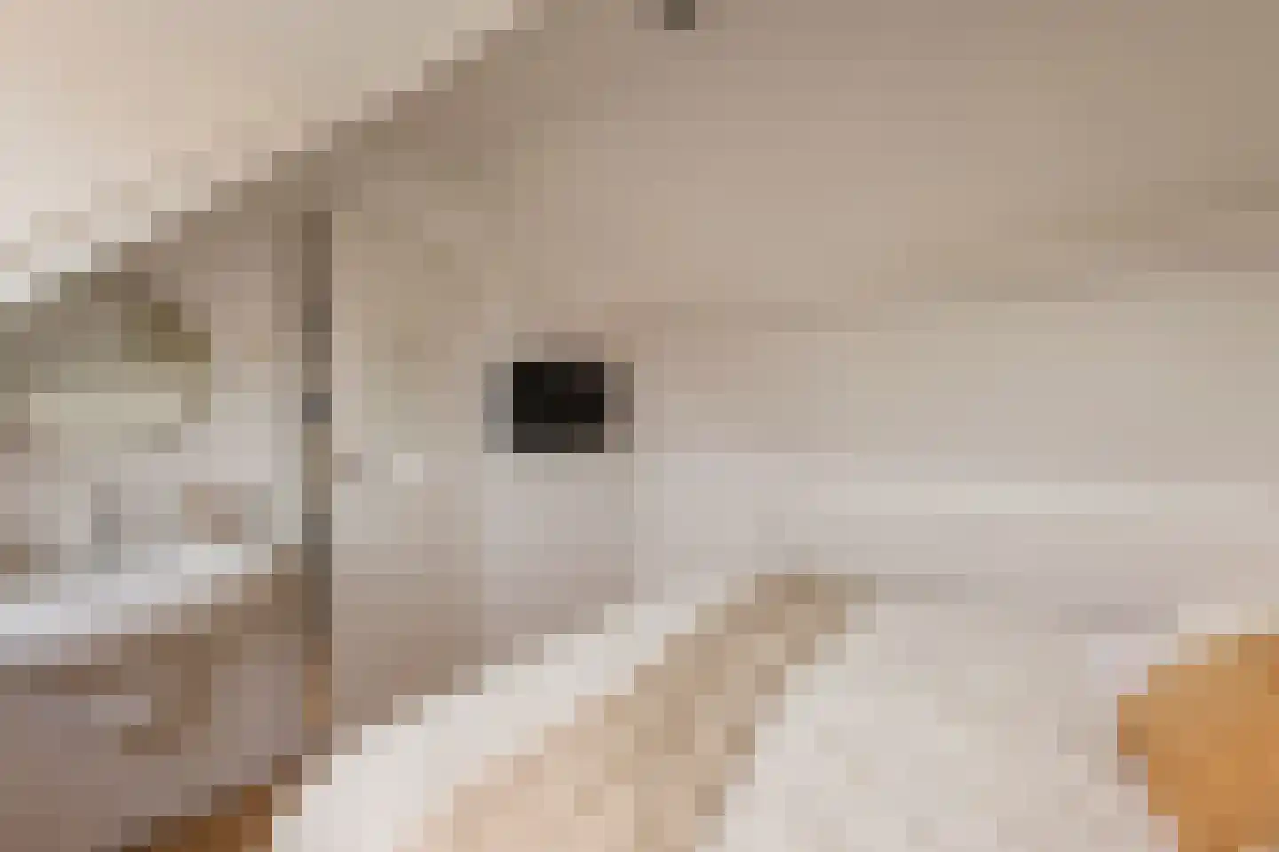 Dorpszicht 2 Abcoude thumbnail 28