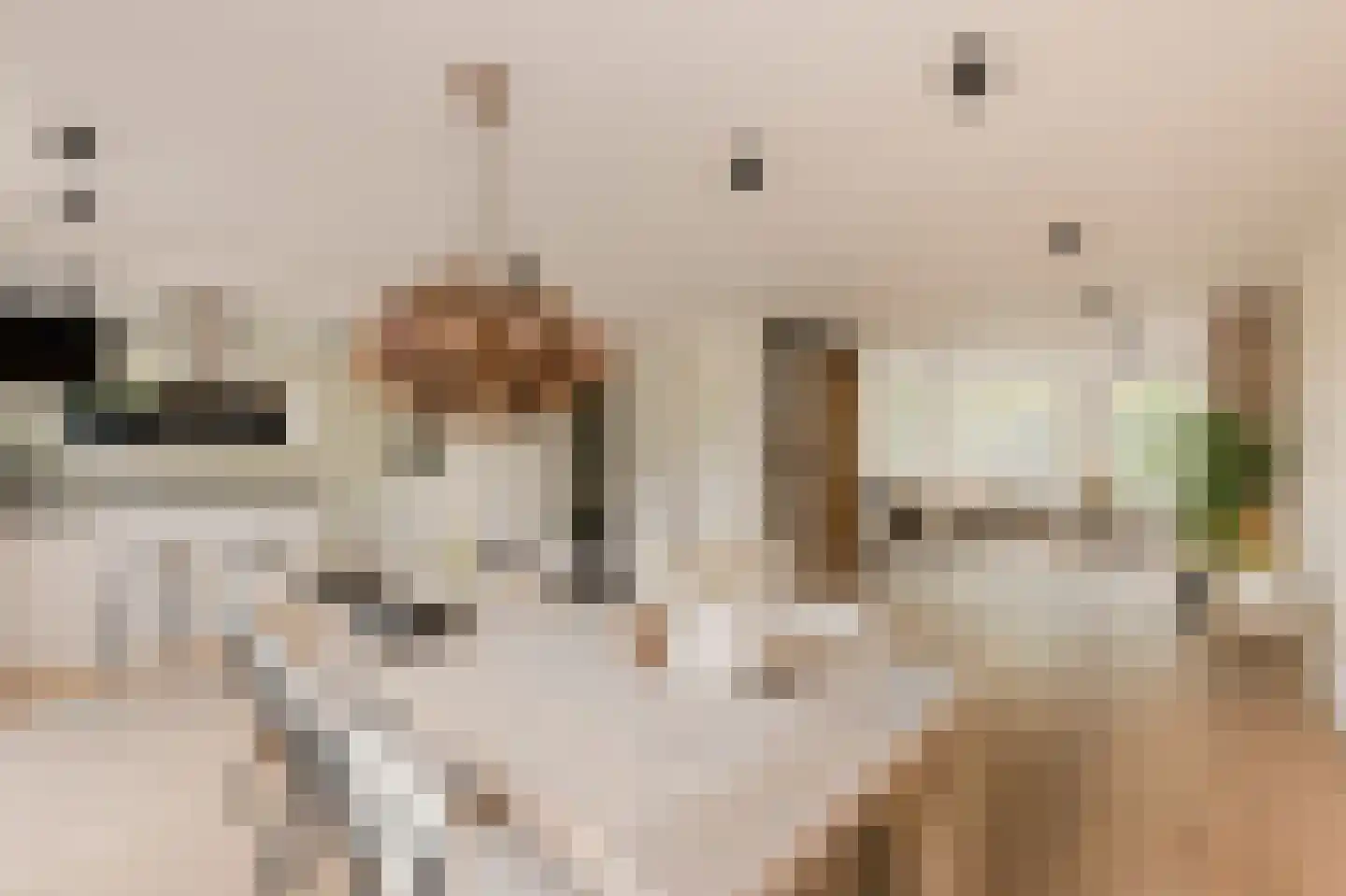 Dorpszicht 2 Abcoude foto 3