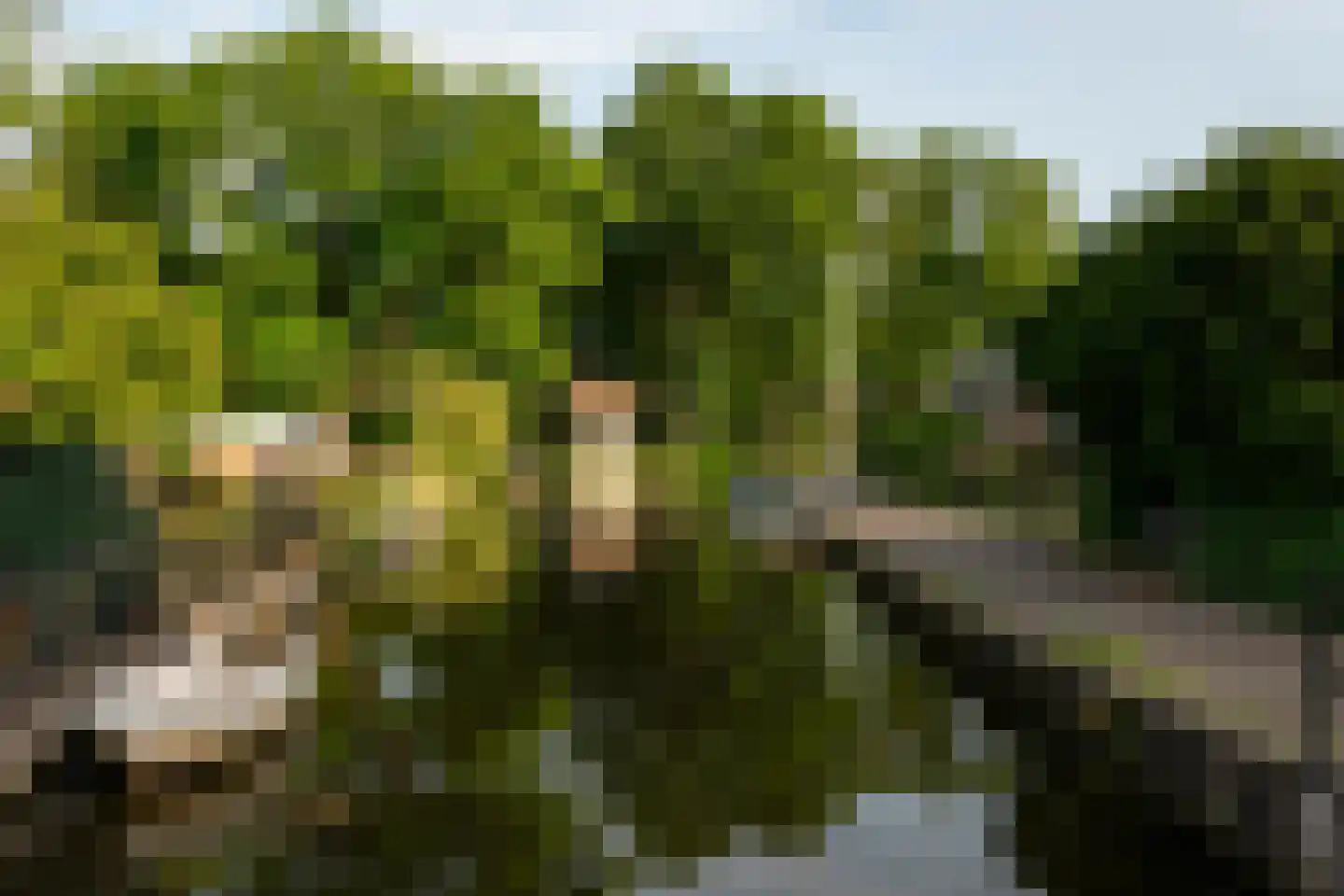 Dorpszicht 2 Abcoude thumbnail 37