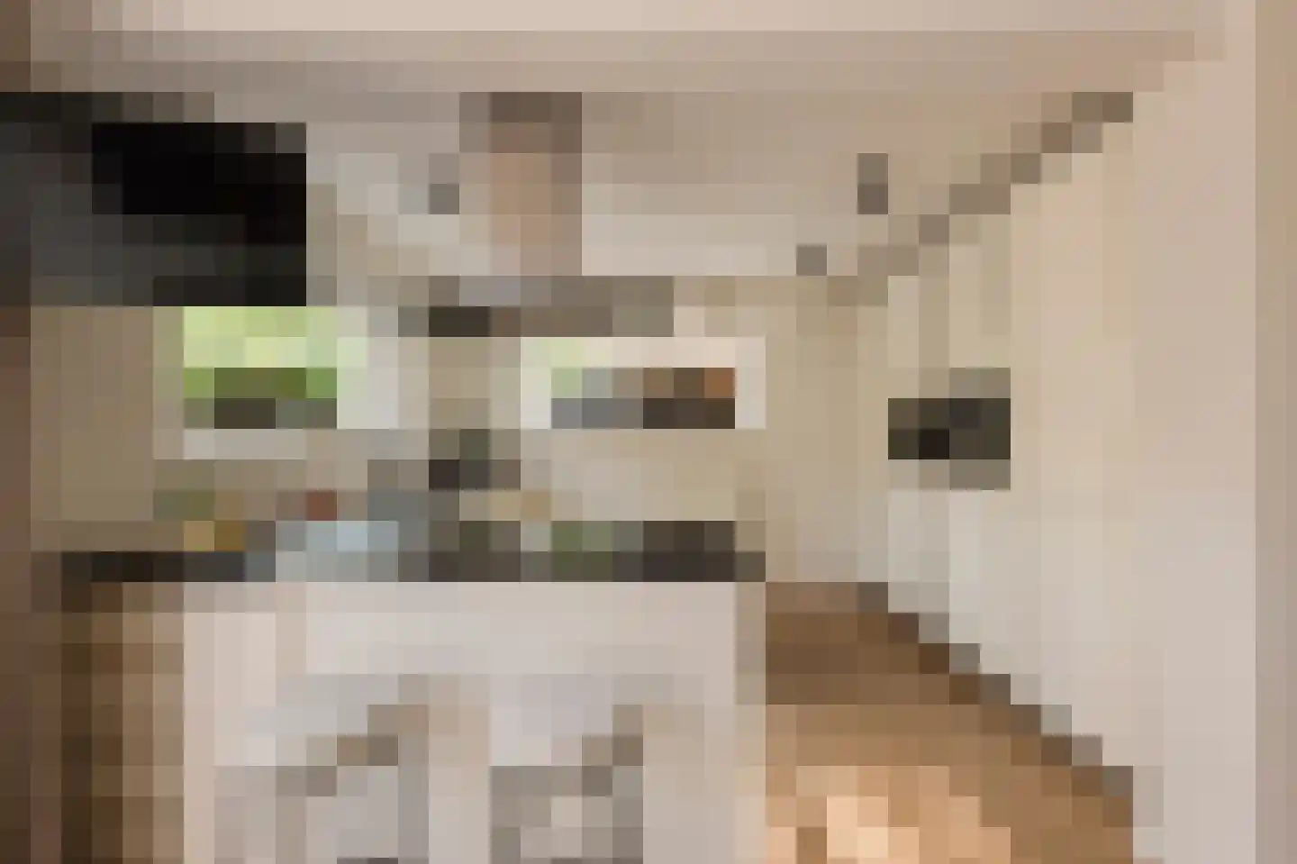 Dorpszicht 2 Abcoude thumbnail 4
