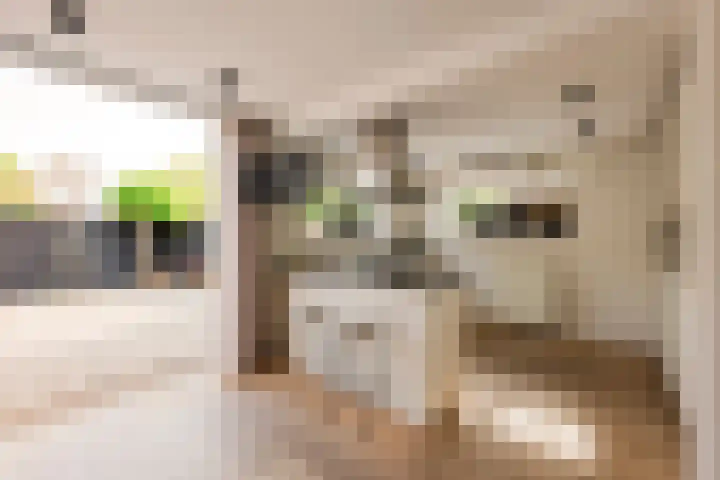 Dorpszicht 2 Abcoude thumbnail 8