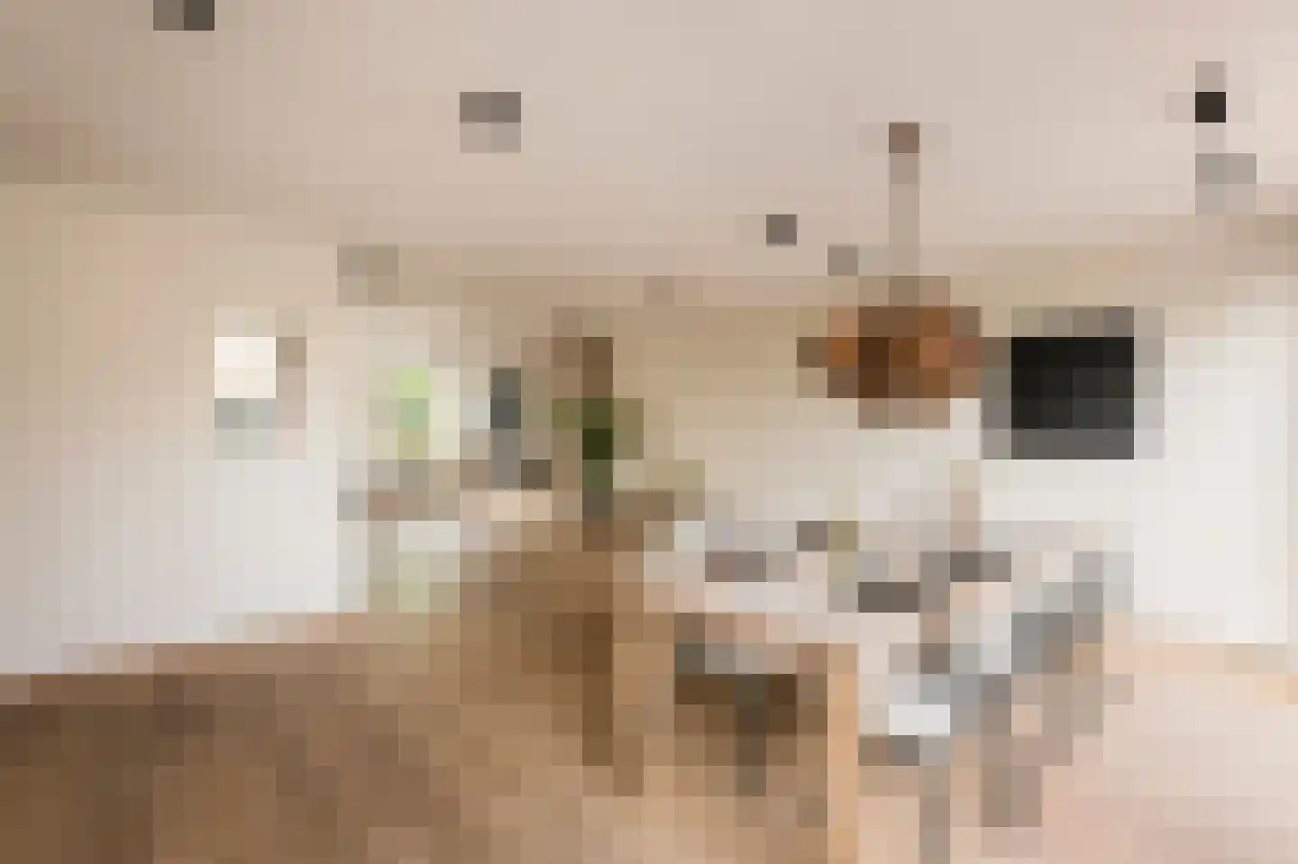 Dorpszicht 2 Abcoude thumbnail 9