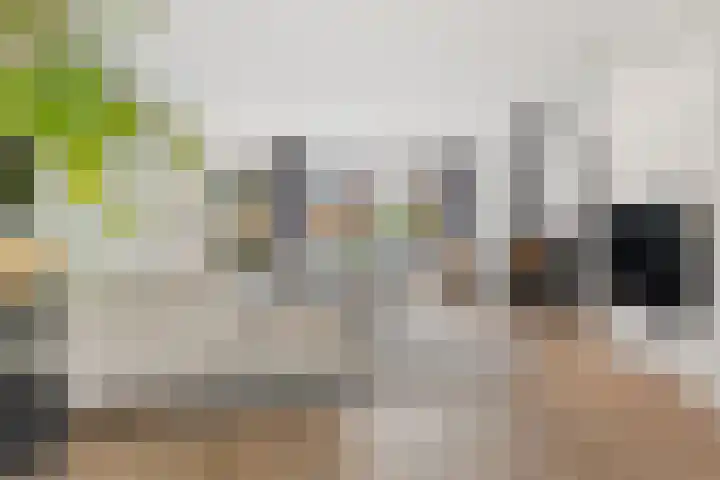 Dorpszicht 8 Abcoude thumbnail 10