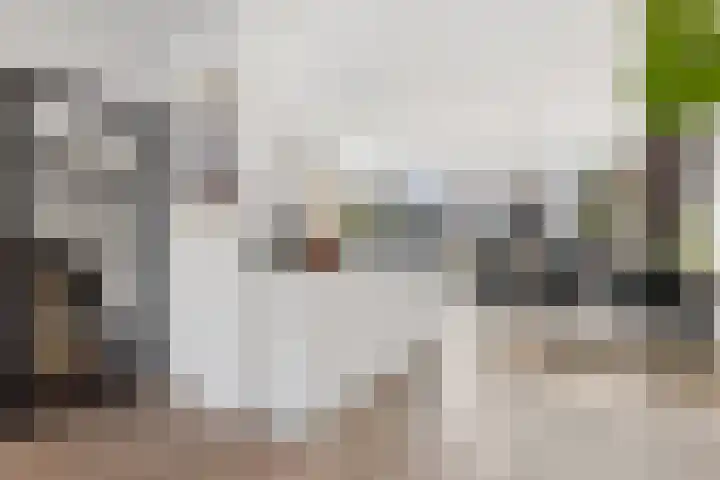 Dorpszicht 8 Abcoude thumbnail 12