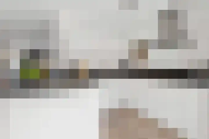 Dorpszicht 8 Abcoude thumbnail 13