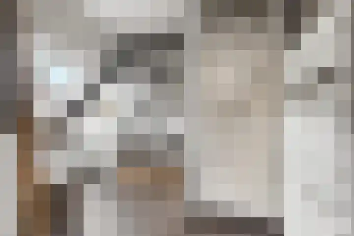 Dorpszicht 8 Abcoude thumbnail 4