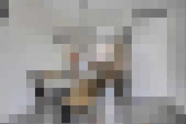 Dorresbus 5 Nuenen thumbnail 11
