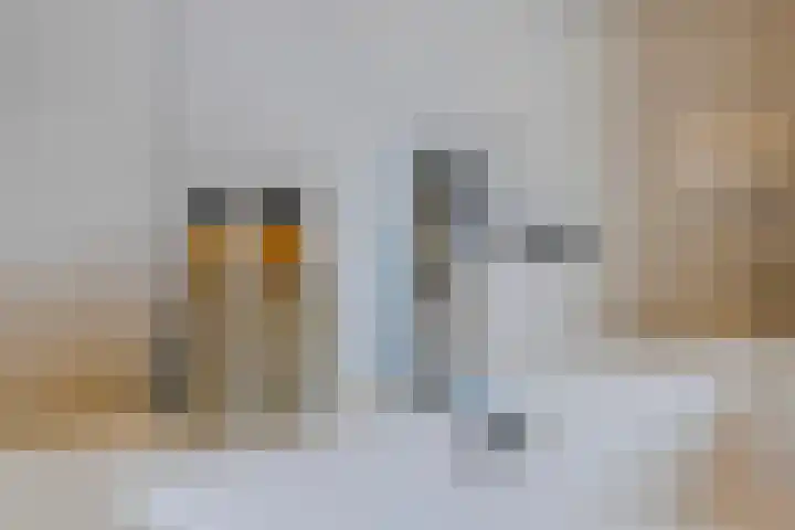 Dorresbus 5 Nuenen thumbnail 22
