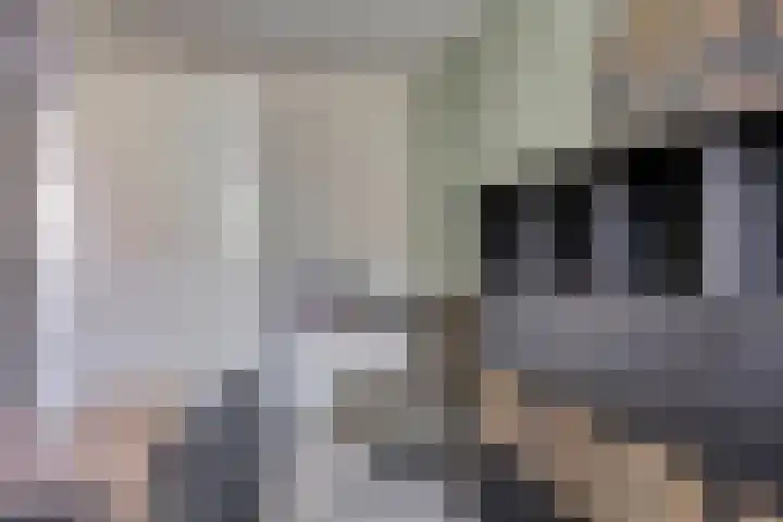 Dorresbus 5 Nuenen thumbnail 25
