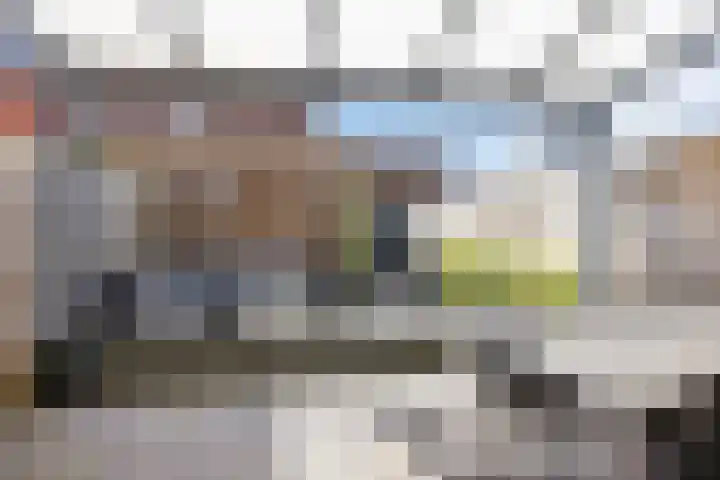 Dorresbus 5 Nuenen thumbnail 28