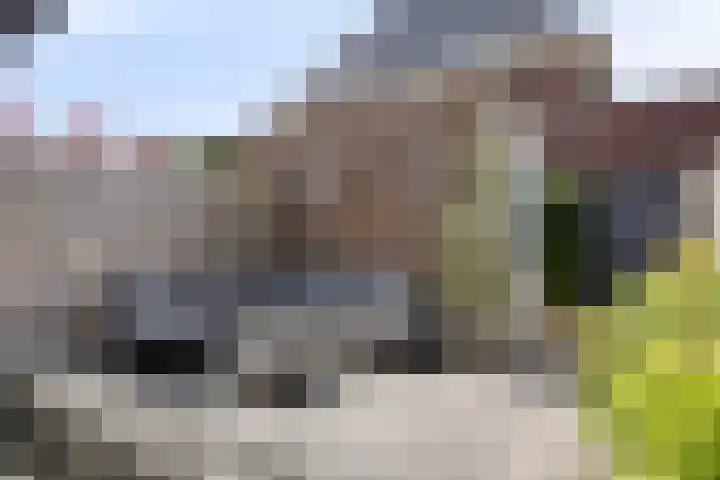Dorresbus 5 Nuenen thumbnail 30
