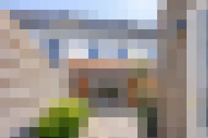 Dorresbus 5 Nuenen thumbnail 31