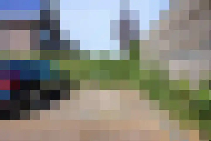 Dorresbus 5 Nuenen thumbnail 33